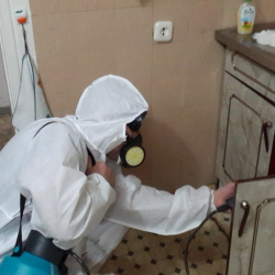 Дезинфекция от муравьев в квартире в Электроуглях