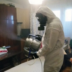 Дезинфекция от клопов в Электроуглях