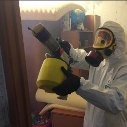 Уничтожение клопов в квартире. Электроугли